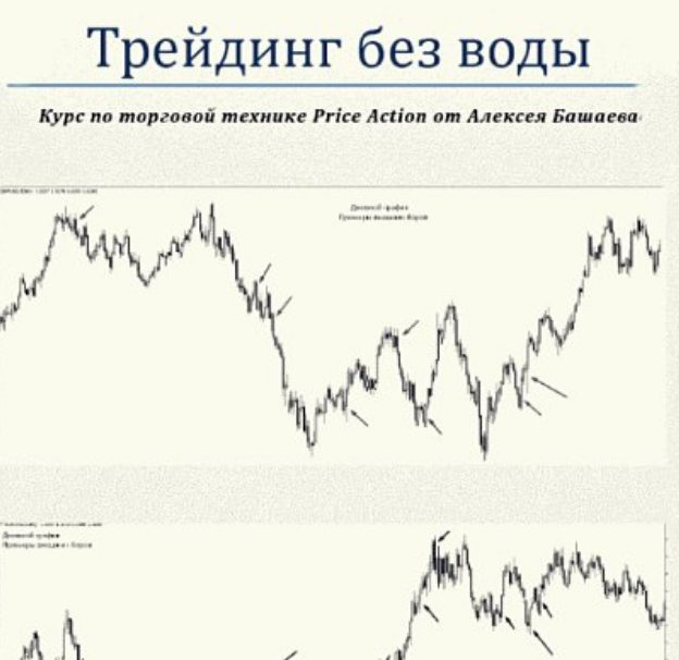 Алексей Башаев