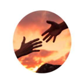 Вежливость