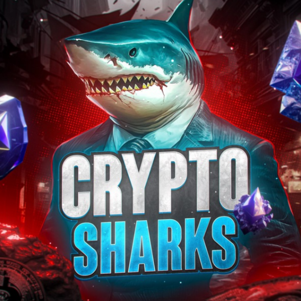 Crypto Sharks 🦈