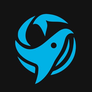 Что Говорят Киты