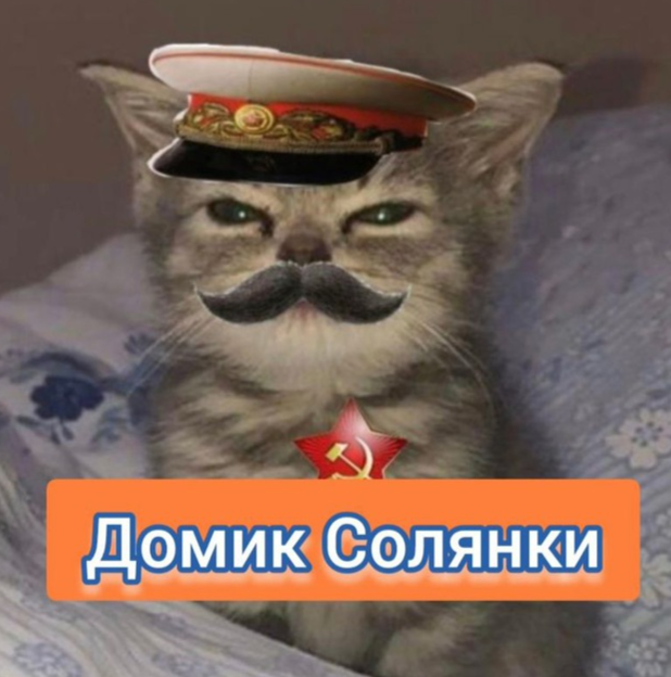 Домик Солянки