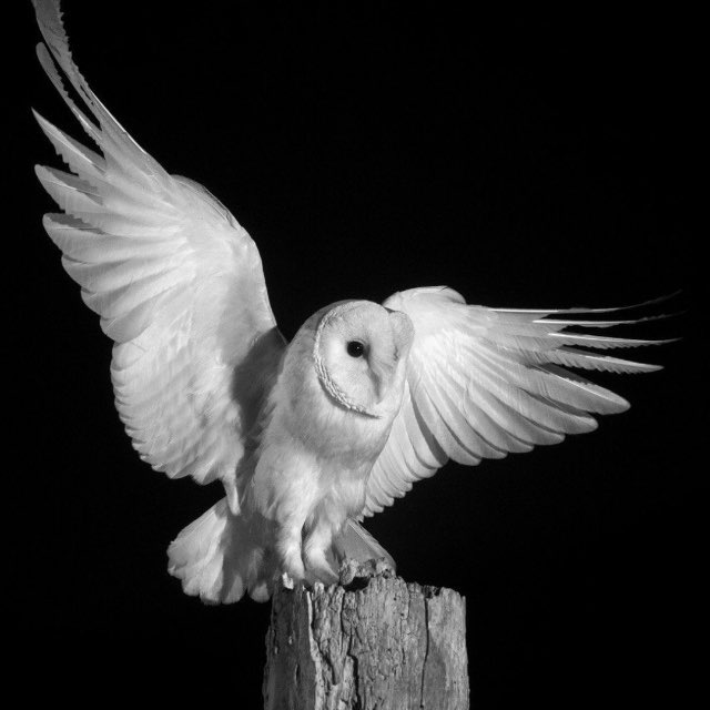 Взвешенный Трейдинг