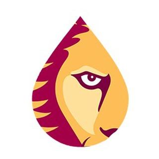 Крипто Нарния News