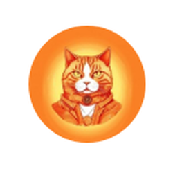 Crypto Cat 🐈