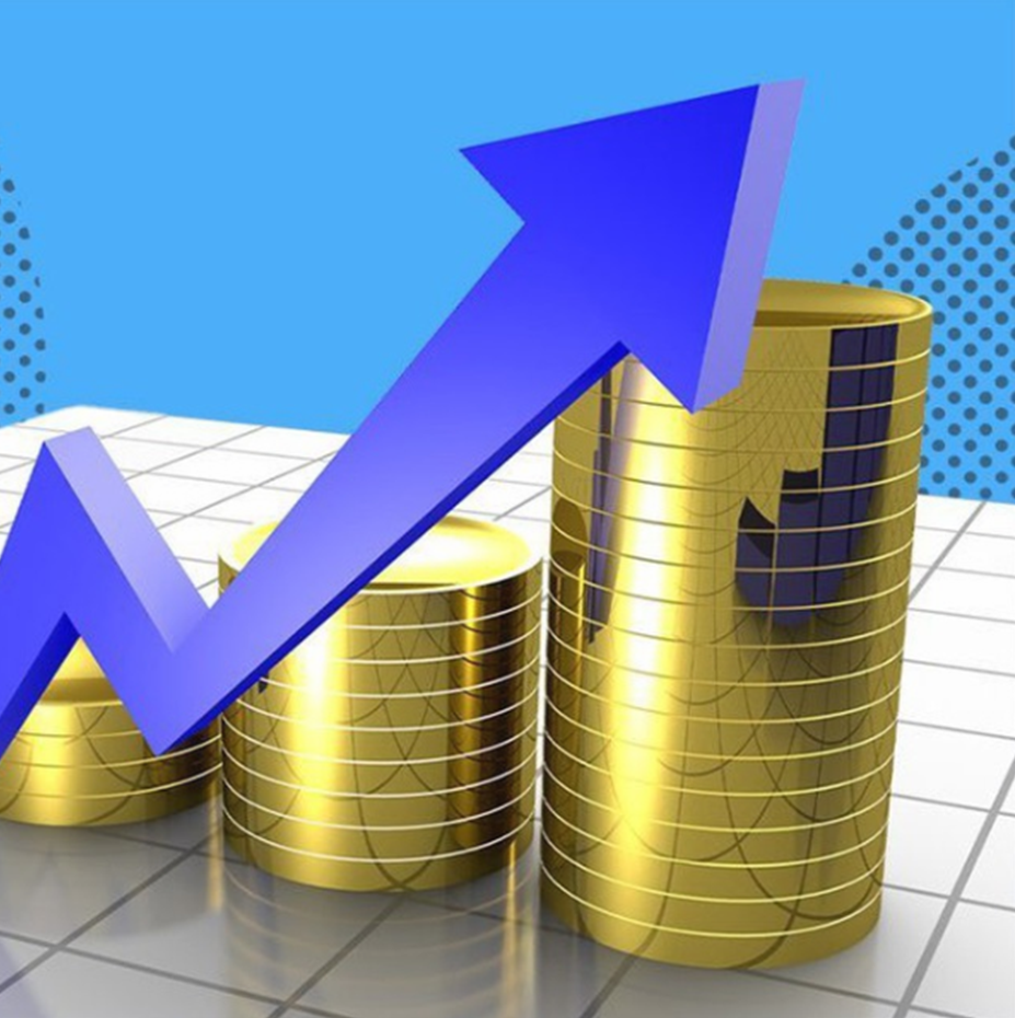 Vip Инвест Ученик